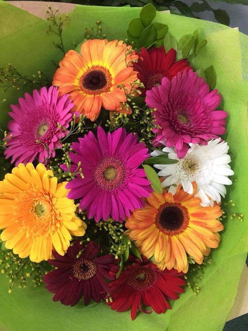 Happy Gerberas